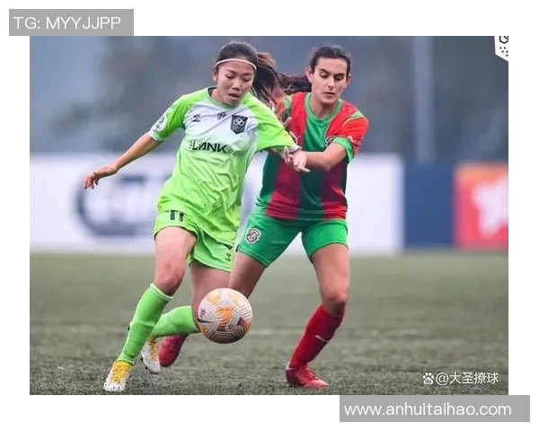 越南足球留洋明星的崛起与成就分析